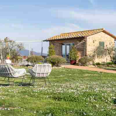 Agriturismo Biologico Diacceroni Hotel Exterior