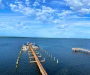 Beso Del Sol Resort Hotels in Dunedin