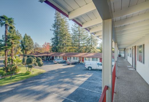 더 팔로 알토 인 객실 내부 사진