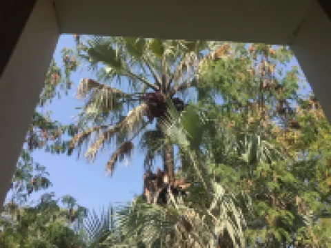 Peo Luxury Apartments