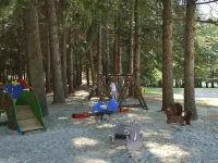 Hotel Mediteran Plava Laguna Hotels in Porec