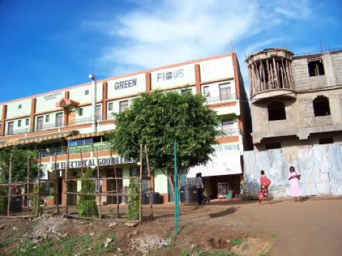 Green Ficus Place Отели в г. 