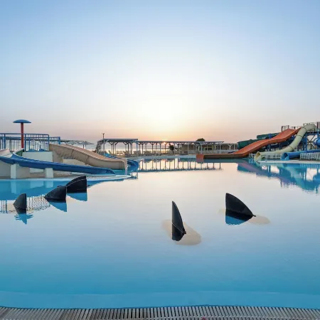 White Olive Marine Aquapark