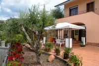Room in Villa - Room on the Hill with Garden and Sea View Hotels in Leivi
