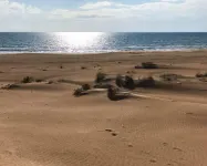 RoccaSeta Dimore Siciliane - Havudsigt