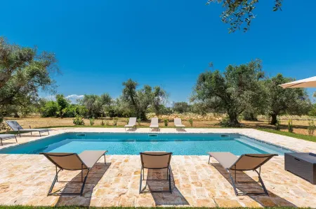 2769 Uliveto Valeria - Trullo Fico by Perle di Puglia