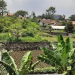 Nabila Syar'i Guesthouse