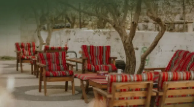 โอลีฟทรีโฮสเทล