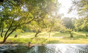 Rukiya Safari Camp