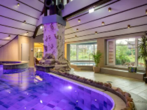 Köhlers Forsthaus Wellness & Genuss Hotel アウリッヒのホテル