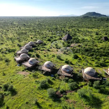 Kuoom Serengeti