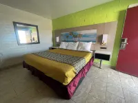 Black Horse Motel - Wifi