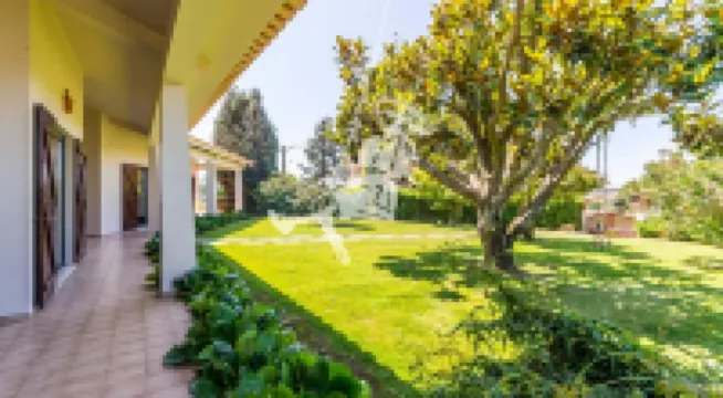 Near the beach-Pets allowed
