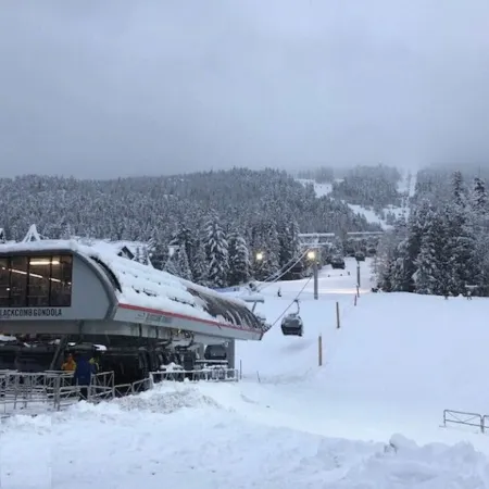 Modern and Cozy 2bed/2bath Ski In-Ski Out in Quiet Upper Village
