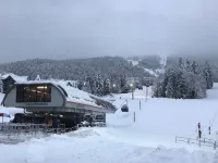 Modern and Cozy 2bed/2bath Ski In-Ski Out in Quiet Upper Village