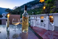 Villa Café y Arte - Xilitla Rainforest Experience Hotels in Xilitla