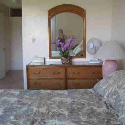 Special December rates /Spectacular Ocean views 1Bed/2 bath Rooms