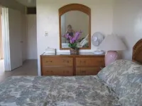 Special December rates /Spectacular Ocean views 1Bed/2 bath Hotels near Kealia Pond National Wildlife Refuge