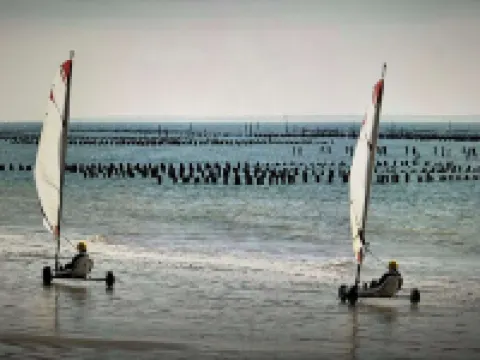 Maison de Plein Pied, Dans un Jardin Arboré, au Calme, en Plein Centre-ville Hôtels à : Luçon