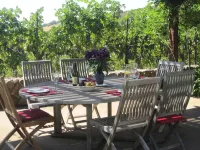 Vineyard FarmStay w/ Heated Pool from May-Oct.
