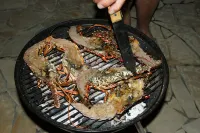 House / Villa - SAINTE-LUCE Hotels in Sainte-Luce