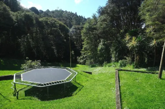 Tranquil Bush Living-  on the 'Fringe of Heaven' Hotels near Waitakere