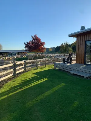 Ohingaiti Farm Cottage - Rangitikei Отели в г. Оайнгейти