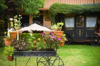 Nuestras Raíces Hotel - Museo - Restaurante Các khách sạn ở 