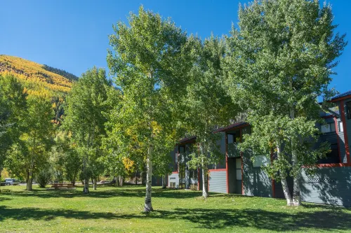 Space for All! Close to Lift 7, Fireplace, Hot Tub Condo Hotel a Telluride