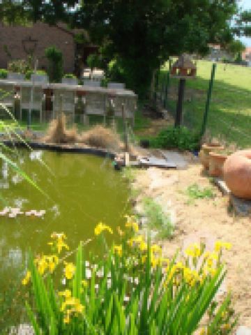 Elckerlyck Inn Hotel