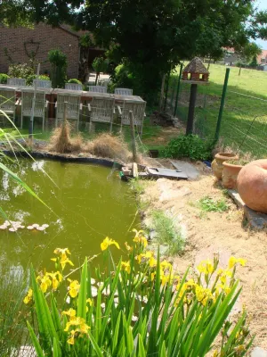 Elckerlyck Inn Hotel Hotels near Lucaty