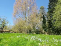 Beulah Cottage - Homestays