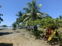 Miguel Surf Camp