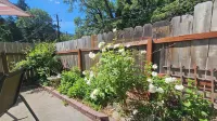 Cedar Lodge Motel
