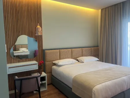 The MONT BOUTIQUE HOTEL Отели в г. Shkodra