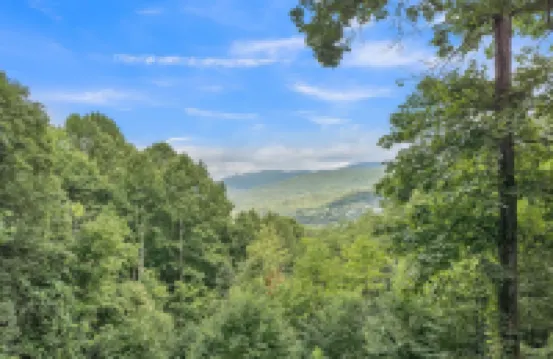 Blue Ridge Lookout Beautiful Modern Cabin - Nature Hikes and Pets Ok 4 Bedroom Cabin by Redawning