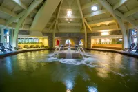 Aquaticum Debrecen Termal & Wellness Hotel - Pools