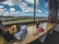 Maunga Roa Eco Lodge - Havudsigt