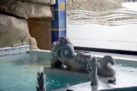 Apartamentos San Pedro - spa