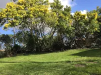 Villa du Pyla in a green setting, private heated pool and roller shutter Decathlon La Teste de Buch附近的飯店