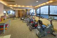 The Edelweiss Lodge and Spa - Gym