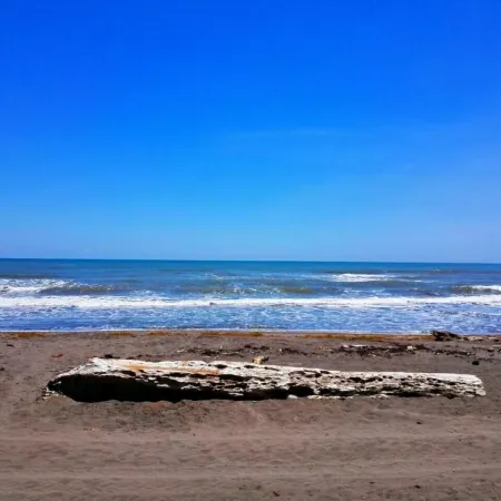 Casa Turtle Bogue - Hostel