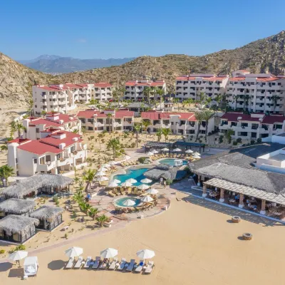 Solmar Resort Hotels near Los Cabos Whale Watching