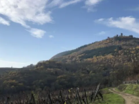 La Petite Cigogne Résidence du Rempart Hotels in Eguisheim