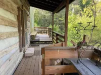Magical Log Cabin, Streams in Private Yard, 4 Bedrooms, Pet Friendly, WiFi
