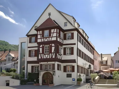 Hotel-Restaurant Anne-Sophie Отели в г. Купферцелль