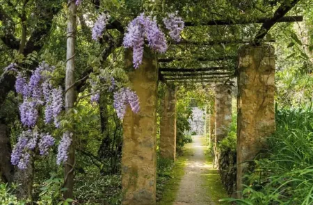 Charming 2-room apartment with sea and Monte Carlo views Отели в г. Рокебрюн — Кап-Мартен