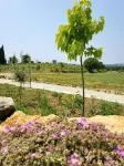 VioVillas Agriturismo Glamping Arezzo