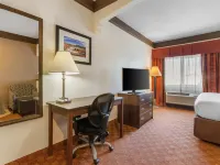 Best Western Tolleson Hotel Hotels near Camelback Ranch