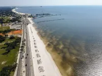 Spacious 5-bedroom house in Charming Long Beach